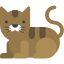 Cat icon representing pet odor removal.